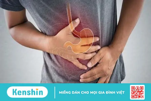 Cam thảo là gì? Những lợi ích của cam thảo đối với sức khoẻ