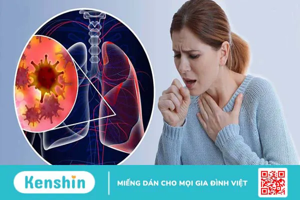 Cam thảo là gì? Những lợi ích của cam thảo đối với sức khoẻ