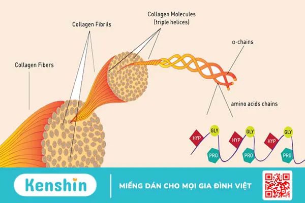 Cảnh báo 13 nguyên nhân xuất huyết não bạn không nên chủ quan