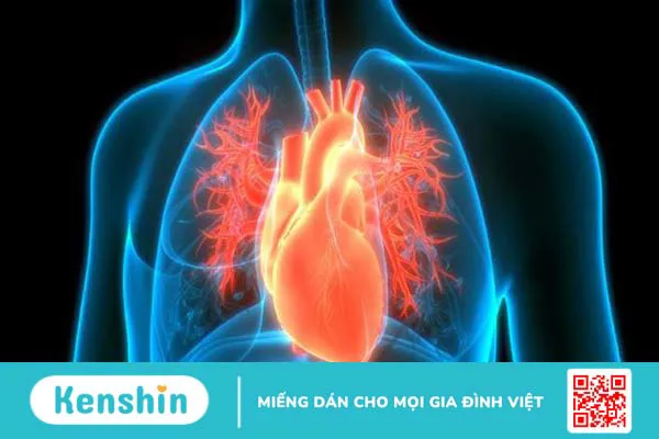 Cảnh báo 5 nguyên nhân suy thận có thể bạn chưa biết