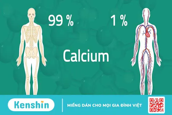 Canxi là gì? Công dụng, cách dùng, thực phẩm chứa canxi