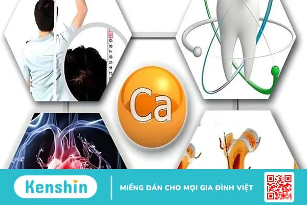 Canxi là gì? Công dụng, cách dùng, thực phẩm chứa canxi