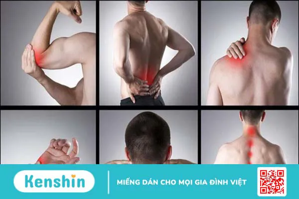 Cao trăn có tác dụng gì? Uống cao trăn nhiều có gây liệt dương không?