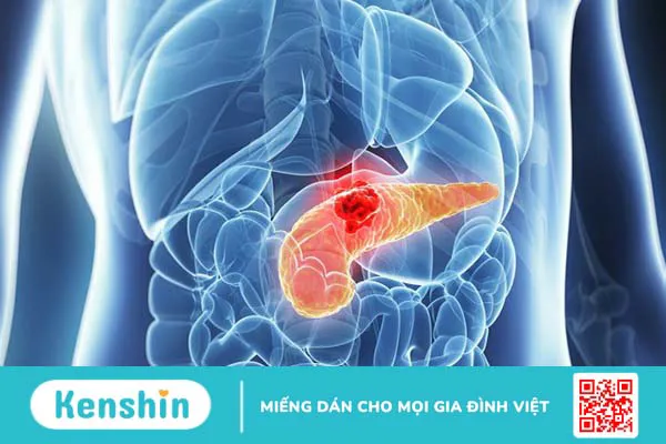 Cắt dạ dày có thể gặp biến chứng gì? Chăm sóc bệnh nhân sau cắt dạ dày