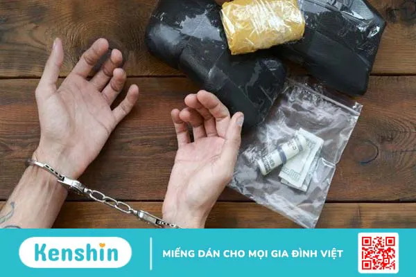 Cây cỏ mỹ là gì? 8 tác hại gây “chết người” và các thông tin cần biết