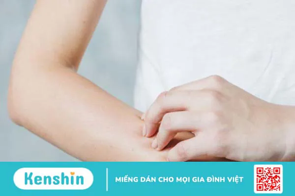 Cây đinh lăng là gì? Tác dụng của cây đinh lăng đối với sức khỏe