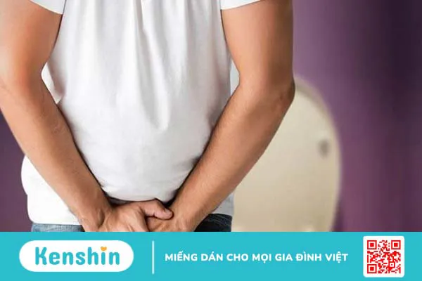 Cây dừa cạn có tác dụng gì? Mách bạn 9 tác dụng của cây dừa cạn