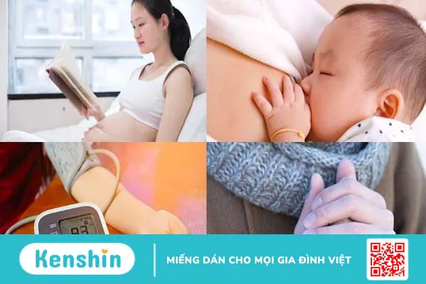 Cây đuôi chuột trị bệnh gì? 13 tác dụng và bài thuốc trị bệnh hiệu quả