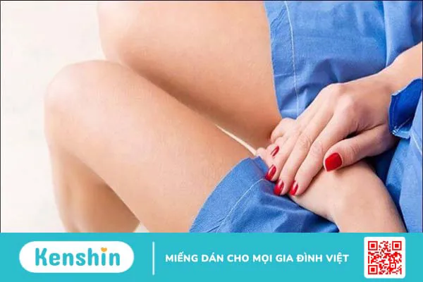 Cây hoàn ngọc có tác dụng gì? 17 tác dụng và bài thuốc chữa bệnh