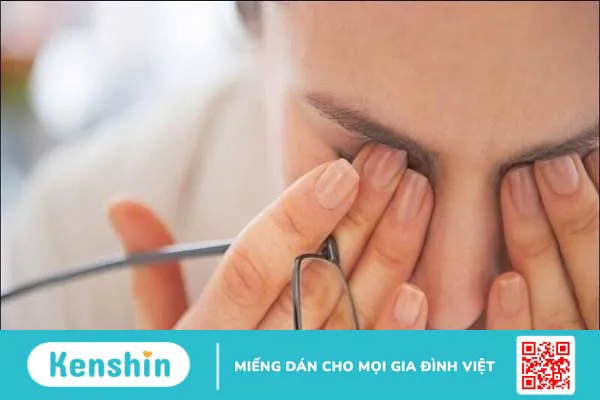 Cây hoàng liên có tác dụng gì? 16 bài thuốc đơn giản từ hoàng liên