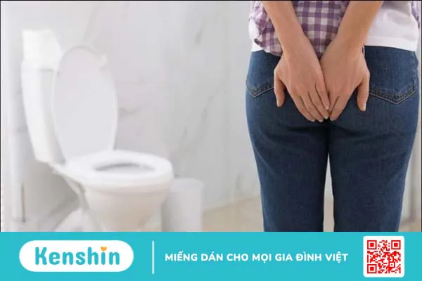 Cây hoàng liên có tác dụng gì? 16 bài thuốc đơn giản từ hoàng liên