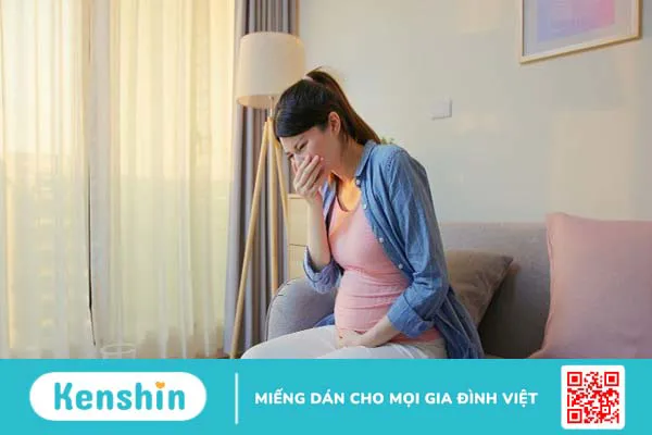 Cây hoàng liên có tác dụng gì? 16 bài thuốc đơn giản từ hoàng liên