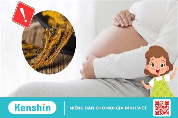 Cây hoàng liên có tác dụng gì? 16 bài thuốc đơn giản từ hoàng liên