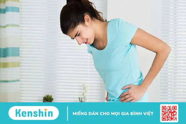 Cây hương thảo có tác dụng gì? 9 lợi ích sức khỏe bạn nên biết