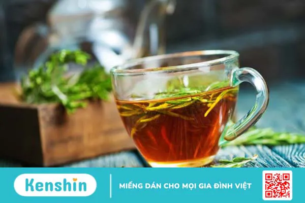 Cây hương thảo có tác dụng gì? 9 lợi ích sức khỏe bạn nên biết