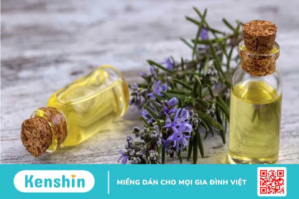 Cây hương thảo có tác dụng gì? 9 lợi ích sức khỏe bạn nên biết