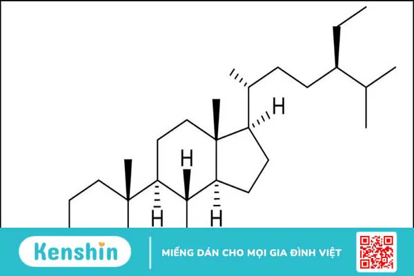 Cây kê huyết đằng có tác dụng gì? 12 vị thuốc kê huyết đằng hiệu quả