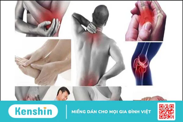 Cây kê huyết đằng có tác dụng gì? 12 vị thuốc kê huyết đằng hiệu quả