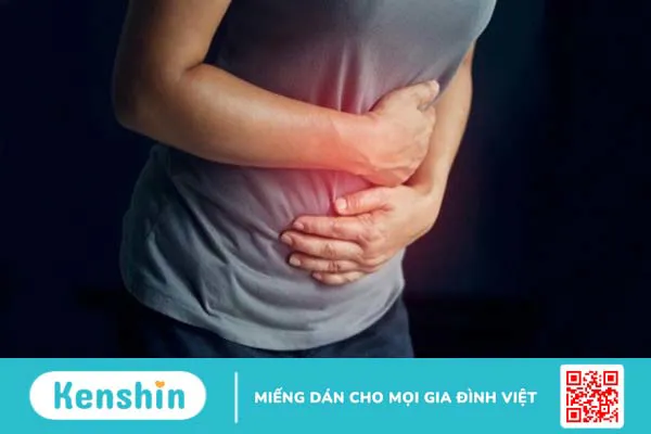 Cây mật gấu có tác dụng gì? 13 tác dụng của cây mật gấu bạn nên biết