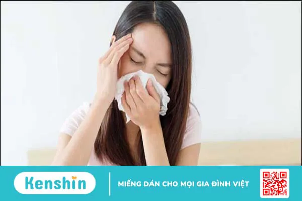 Cây mắt mèo (móc mèo) chữa bệnh gì? 10 tác dụng và lưu ý sử dụng trong chữa bệnh