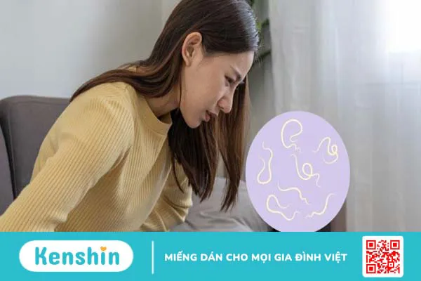 Cây mắt mèo (móc mèo) chữa bệnh gì? 10 tác dụng và lưu ý sử dụng trong chữa bệnh