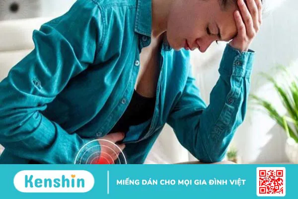 Cây nhân trần có tác dụng gì? 12 công dụng và các lưu ý khi uống