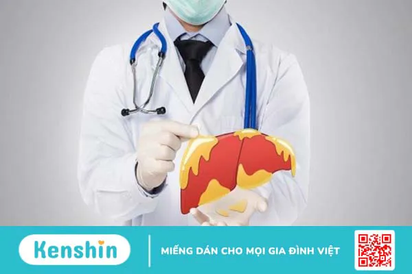 Cây nhân trần có tác dụng gì? 12 công dụng và các lưu ý khi uống