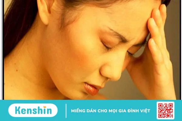 Cây nhân trần có tác dụng gì? 12 công dụng và các lưu ý khi uống