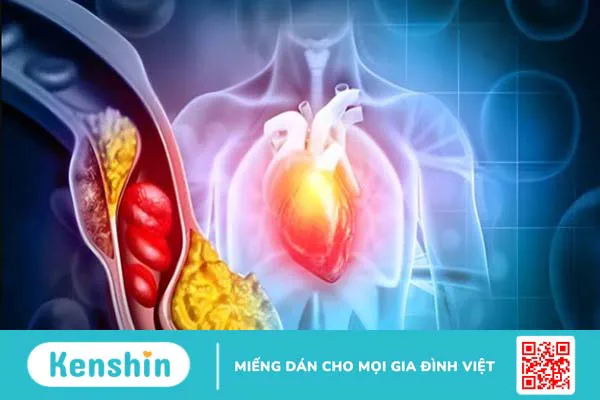 Cây nhân trần có tác dụng gì? 12 công dụng và các lưu ý khi uống