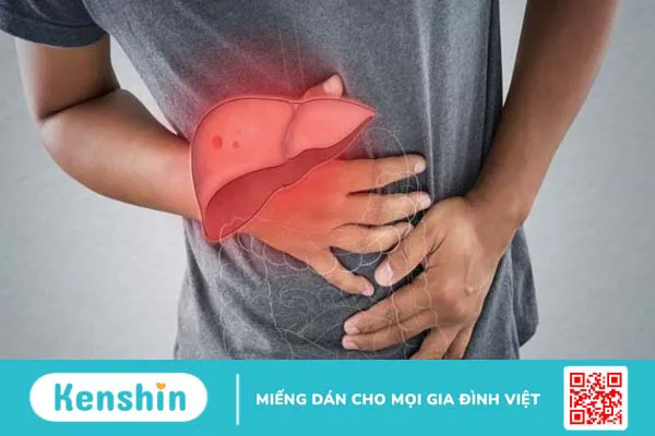 Cây nhân trần có tác dụng gì? 12 công dụng và các lưu ý khi uống