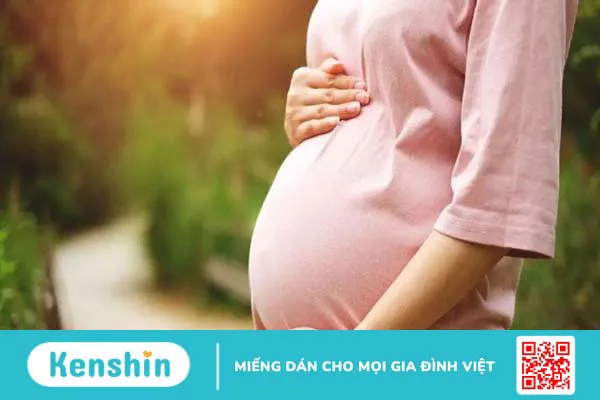 Cây nhân trần có tác dụng gì? 12 công dụng và các lưu ý khi uống