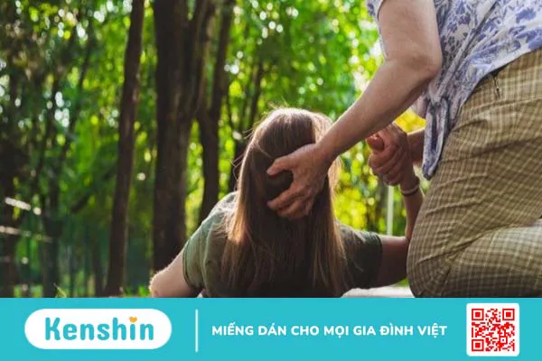 Cây sâm bố chính có tác dụng gì? 19 cách dùng hiệu quả cho sức khoẻ