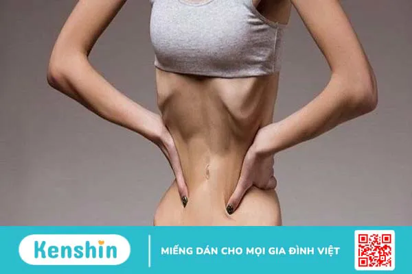 Cây sâm bố chính có tác dụng gì? 19 cách dùng hiệu quả cho sức khoẻ