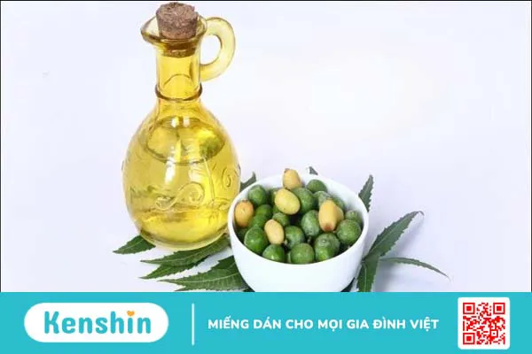 Cây sầu đâu là gì? 9 công dụng điều trị bệnh và lưu ý sử dụng