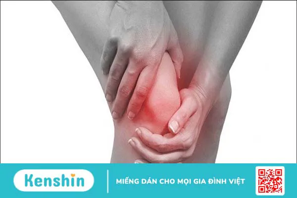 Cây sầu đâu là gì? 9 công dụng điều trị bệnh và lưu ý sử dụng