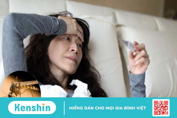 Cây sầu đâu là gì? 9 công dụng điều trị bệnh và lưu ý sử dụng