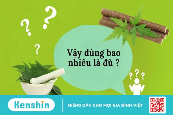 Cây sầu đâu là gì? 9 công dụng điều trị bệnh và lưu ý sử dụng