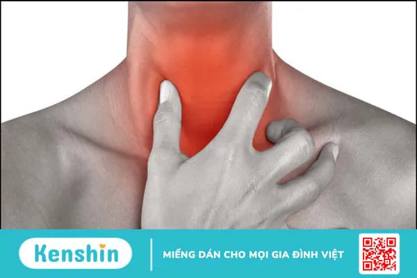 Cây tầm bóp có tác dụng gì? 11 tác dụng của cây tầm bóp