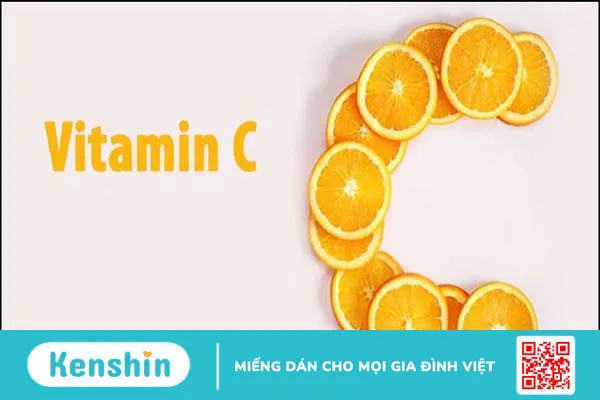 Cây tầm bóp có tác dụng gì? 11 tác dụng của cây tầm bóp