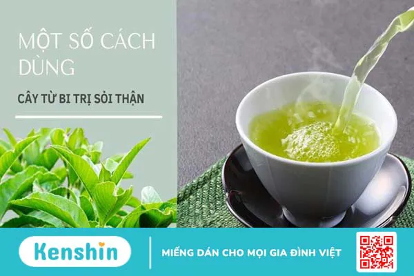 Cây từ bi trị sỏi thận được không? 7 cách sử dụng lá từ bi hiệu quả