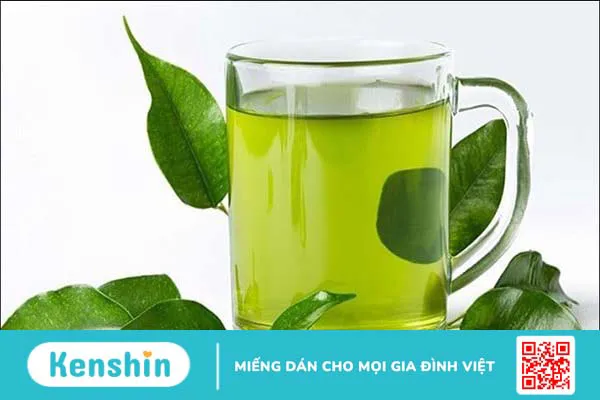 Cây vối có tác dụng gì? 9 công dụng của cây vối đối với sức khỏe