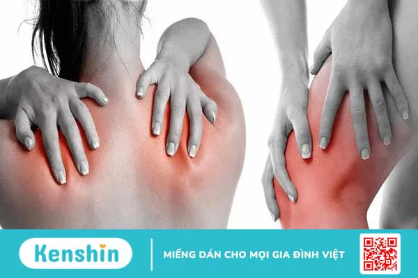 Cây vòi voi có tác dụng gì? Chữa được bệnh gì? Lưu ý khi sử dụng