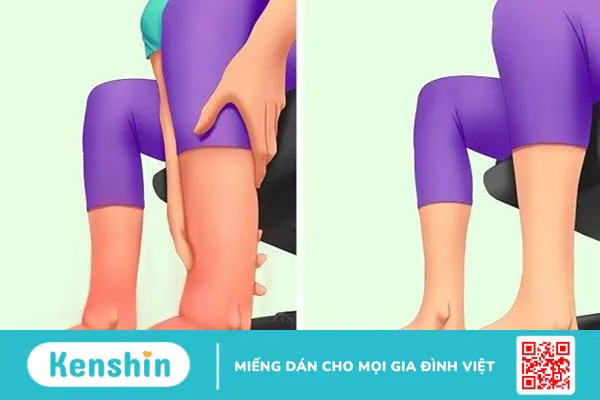 Cây vòi voi có tác dụng gì? Chữa được bệnh gì? Lưu ý khi sử dụng