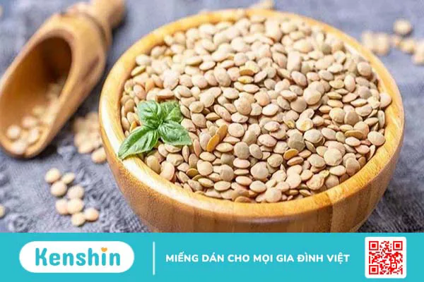 Chất đạm có trong thực phẩm nào? 21 thực phẩm giàu chất đạm ít calo