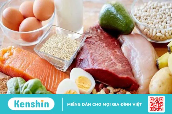 Chất đạm có trong thực phẩm nào? 21 thực phẩm giàu chất đạm ít calo