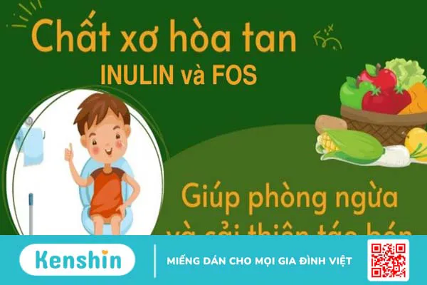 Chất xơ hòa tan là gì? 6 tác dụng của chất xơ hòa tan đối