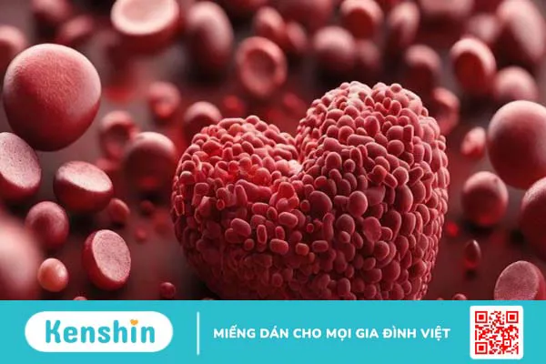 Chất xơ hòa tan và chất xơ không hòa tan: Sự khác biệt là gì?