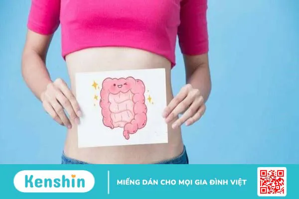 Chất xơ hòa tan và chất xơ không hòa tan: Sự khác biệt là gì?