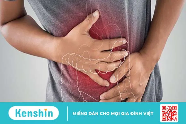 Chất xơ không hòa tan là gì? Vai trò chất xơ hoà tan với cơ thể