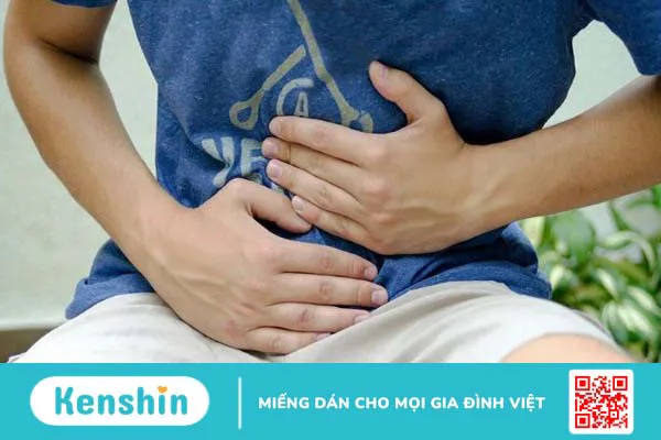 Chất xơ là gì? Cách sử dụng chất xơ đúng cách an toàn và hiệu quả